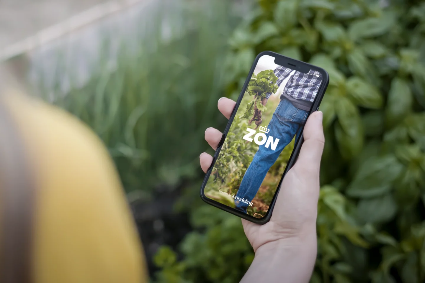 Hand holding smartphone inside of a vegetable field