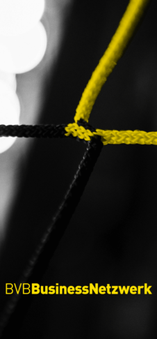 Splash BVB