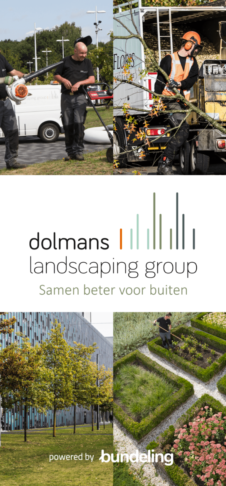 Splashscreen van Dolmans
