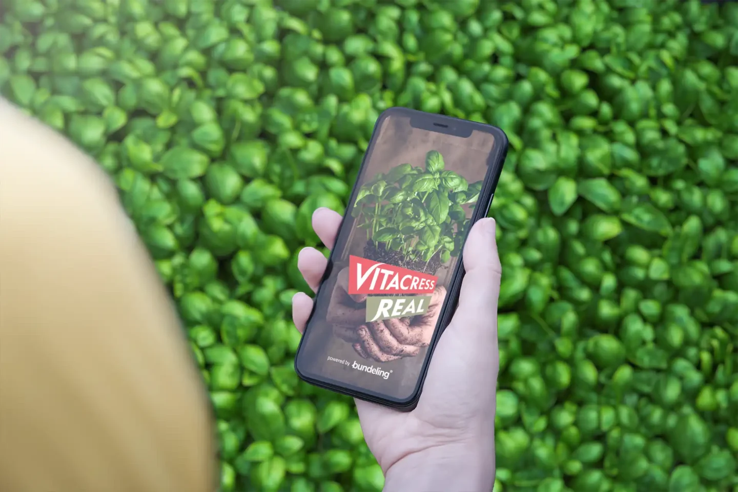 Vitacress app in een planten kas